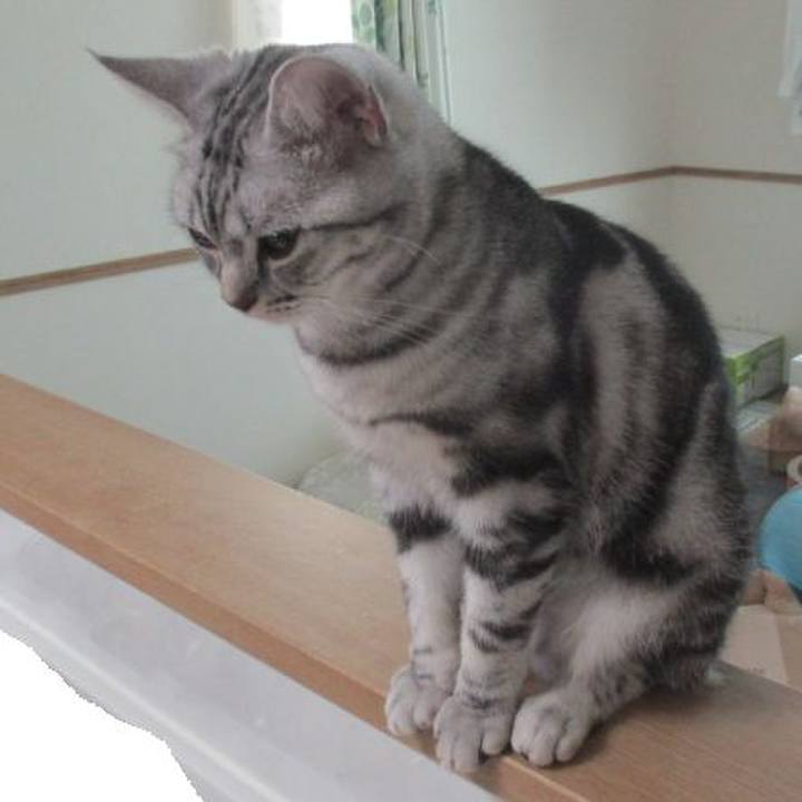 D8a1b8cd 21e4 43b5 a5c5 69188fea2604 1559042329813