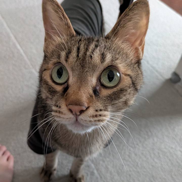 D8a1f995 1a74 4f76 bd77 a2c374ee8950 1758343495253