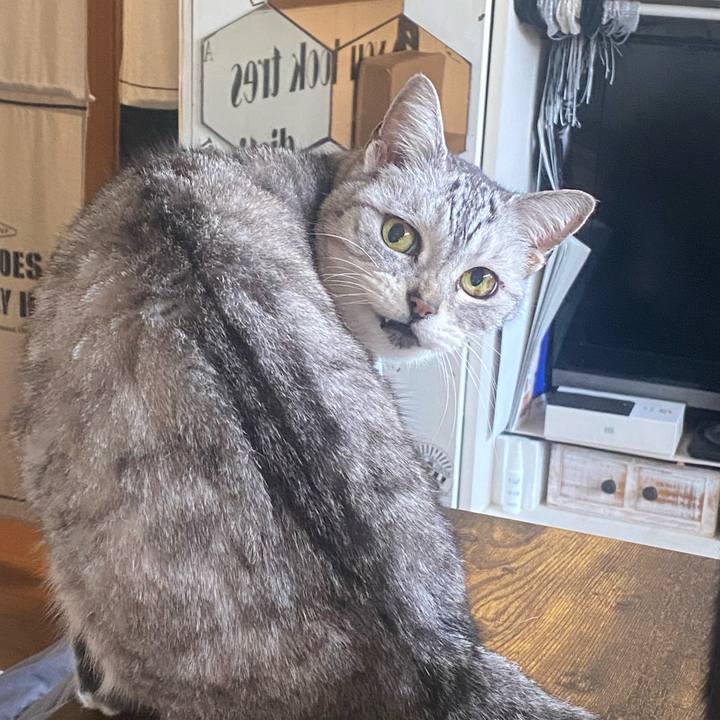 D8a236ea a690 4ca4 a1a6 b440963dacc9 1772323270092