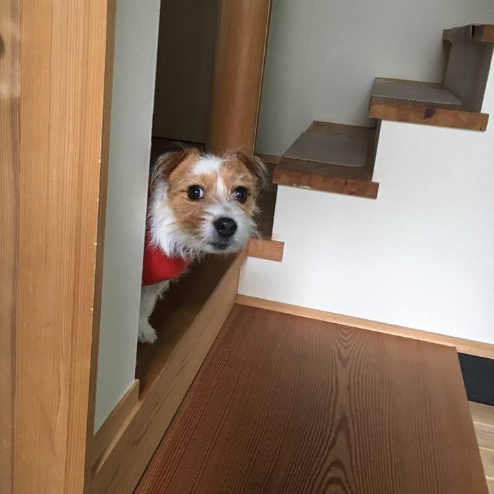 D8a25de4 5b1f 427e be78 217791e44c7a 1519173252995