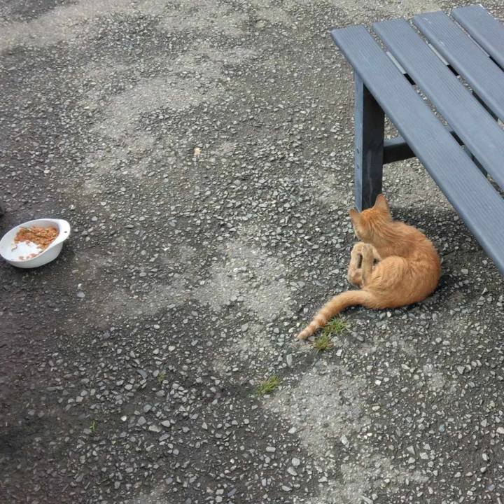 D8a2a77a f409 480e 8d91 62f2136ca0ff 1721178419721