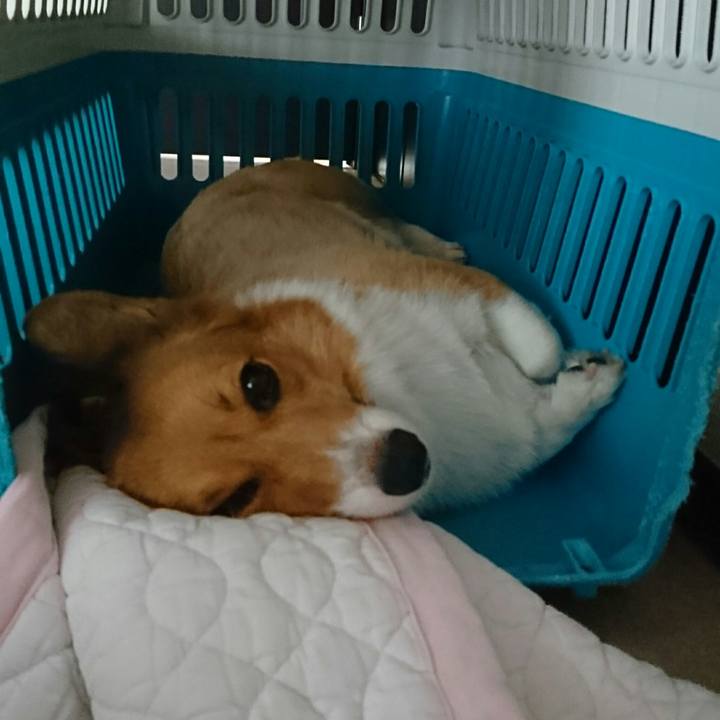 D8a2dc7b b65c 4690 8d83 0cba8e4987c6 1535106468567