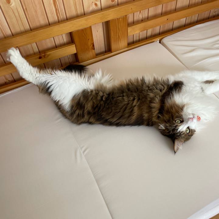 D8a30fc8 dc4a 41c3 a4bd 7e83dc3a69cc 1696815136117