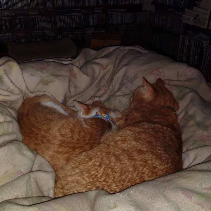 D8a328ac 77ee 4fbd 967a 7311d1a59452 1738598354316