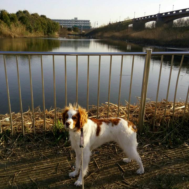 D8a34fe2 8484 4c90 bca7 22d1475e33a8 1520943110170