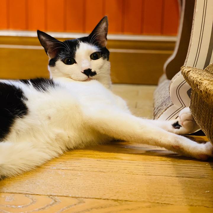 D8a363d8 c017 4139 a954 2dacf67774e7 1577065600427