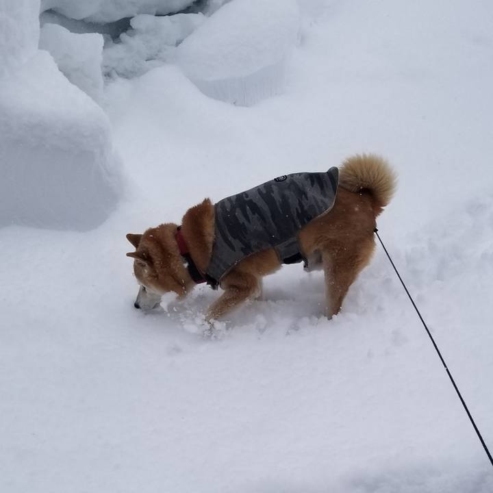 D8a38f42 5300 48ef b1af d2188f0169f0 1739937561796