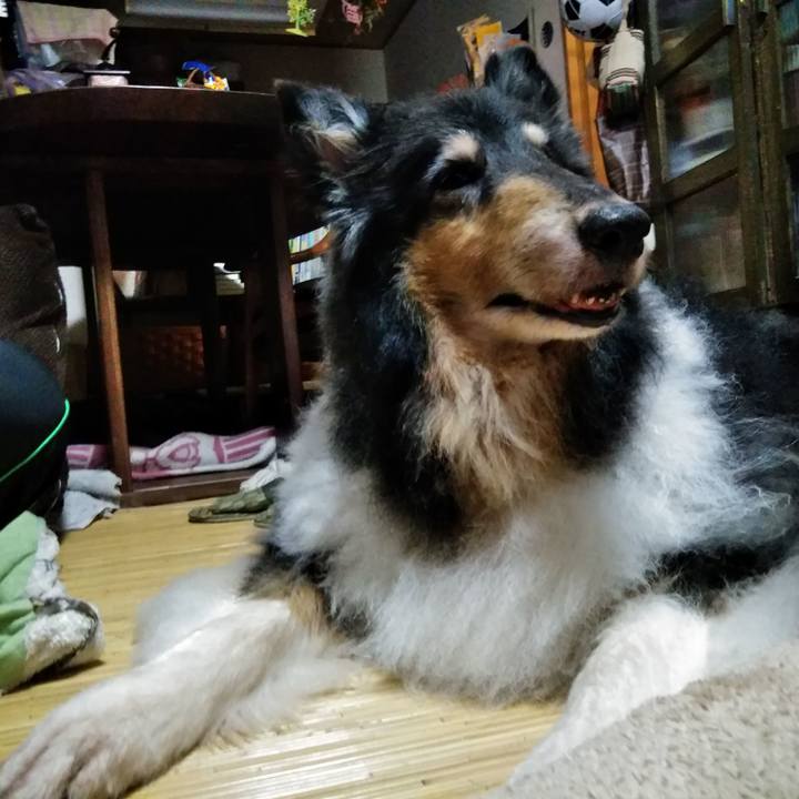 D8a390cc 0be0 4642 bf79 957264bfbeae 1566572886015