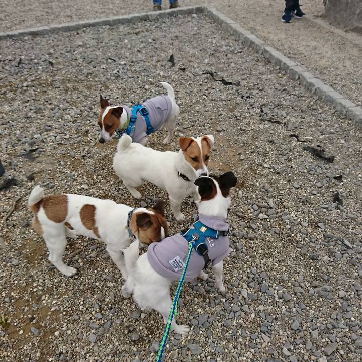 D8a39f26 e628 47c5 bf6d fc22f1f3ad0d 1556517517420