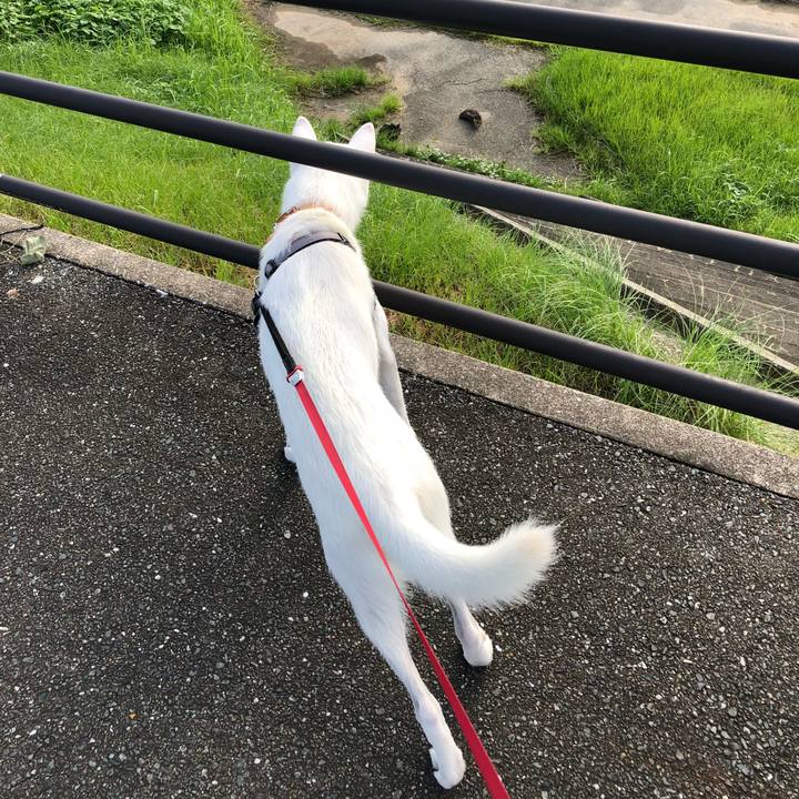 D8a3a193 bb54 4ef9 8309 a88030400c49 1536625597775