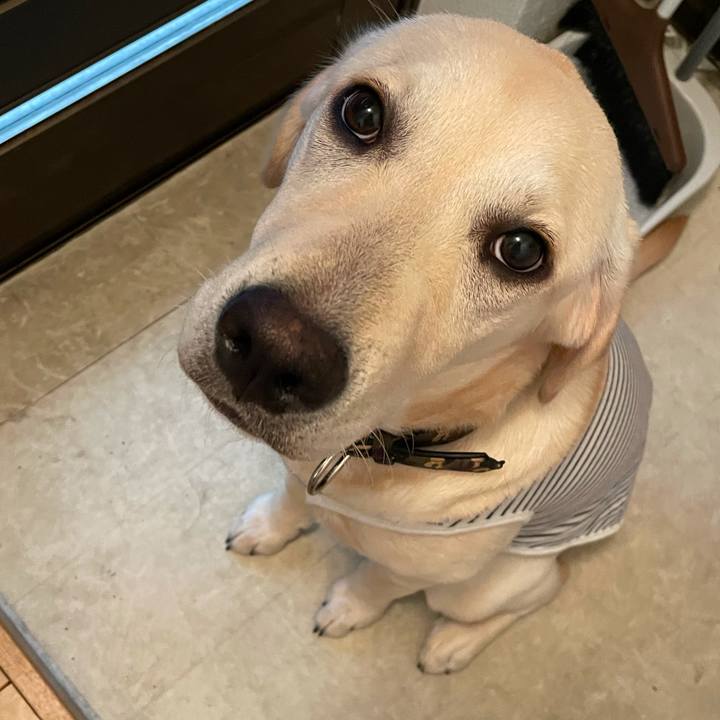 D8a4355c e8fa 4ca4 ba33 31f9e3e6cf8d 1621503264204