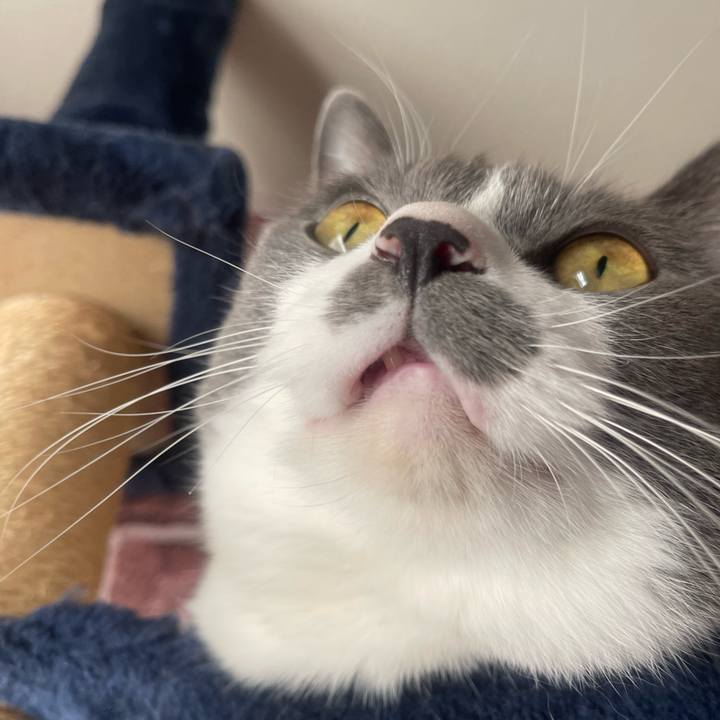 D8a48b53 f86b 4c3a 8049 dd775a885e75 1733269137913