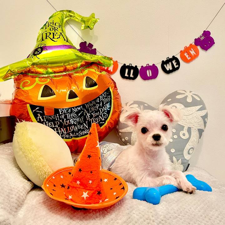 D8a498e8 f39b 4e21 a483 c8b7954982b2 1634794016816