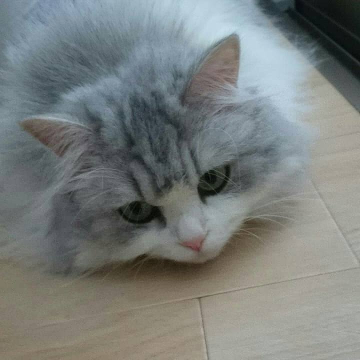 D8a49def 67af 4bde b71f 44750aab6bf6 1530424821462