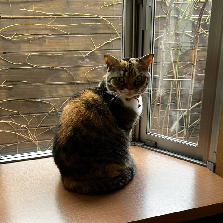 D8a49f71 f006 4aad a182 78503b3a246b 1771200322322