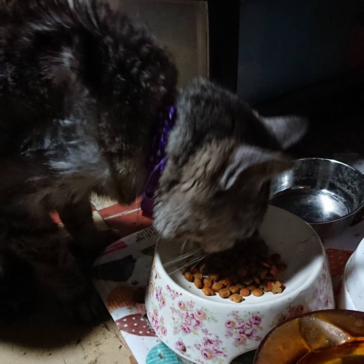 D8a4a98f 4c7c 43ae 9d93 270af4da8234 1594849948055