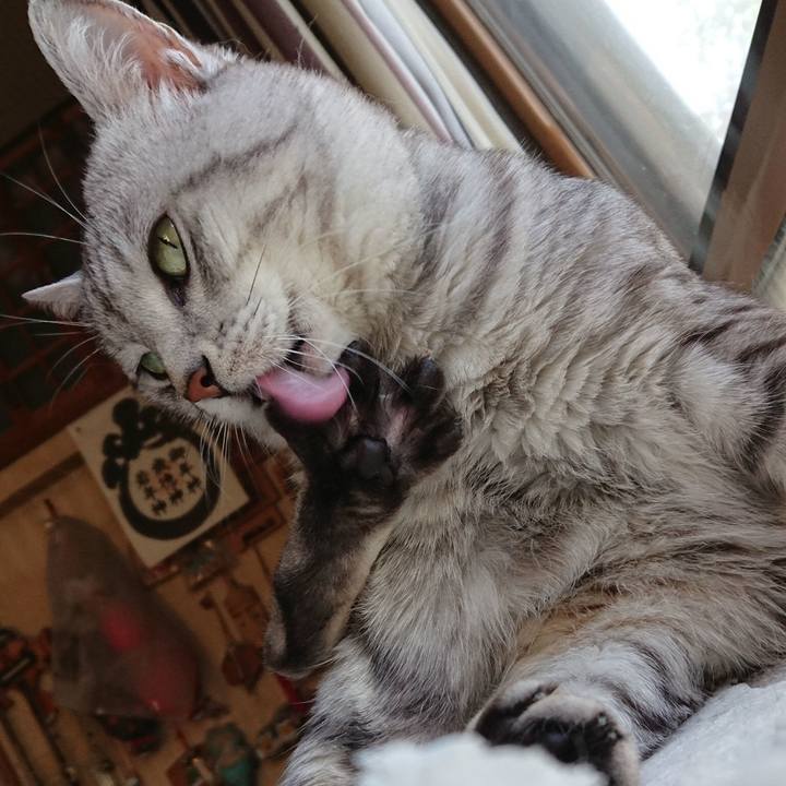 D8a4f1b9 e335 4d68 98e3 546704a4c372 1562566240109