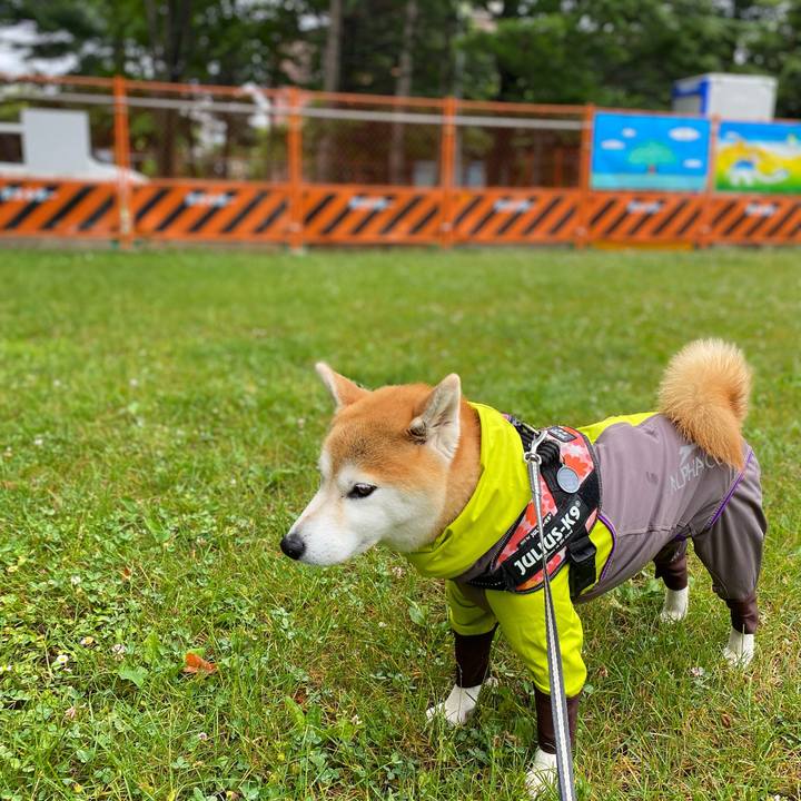 D8a4fab2 6460 4dab b7ff 53db1456c0e1 1625618478335