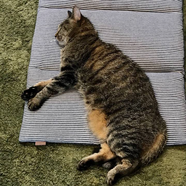 D8a51d03 a0d0 4684 9c9f abf1c188b932 1593750743413