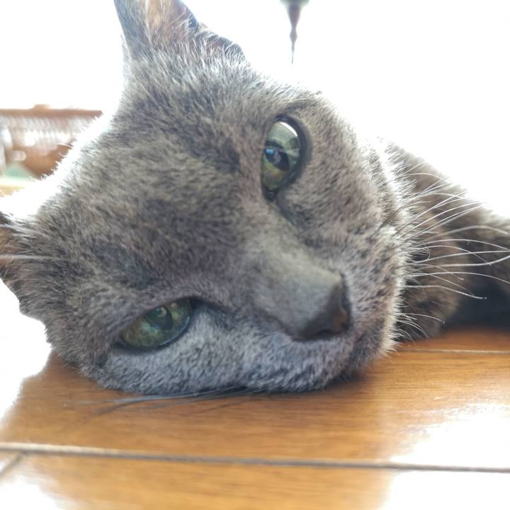 D8a53333 5f77 4fb0 bc19 fecd67f45211 1597452249407