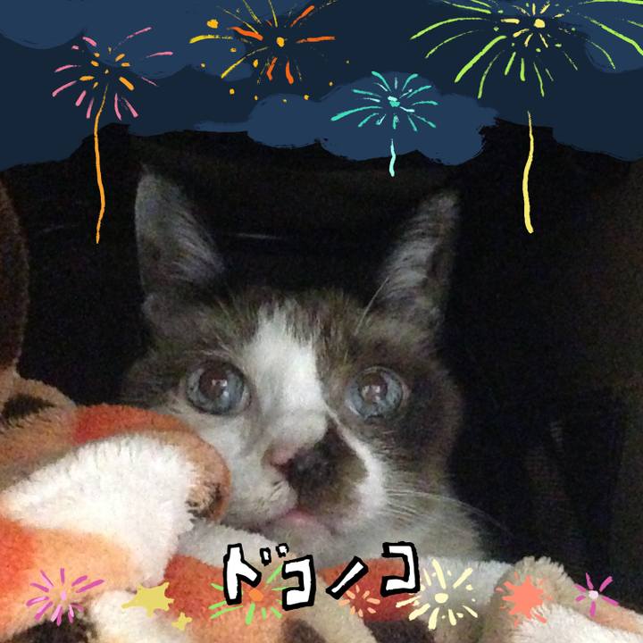 D8a5523c e437 4caf 89a9 23b3017655f7 1723574986734