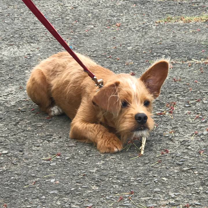 D8a578a0 4c56 4f88 8c11 0dc97260be37 1525082756435