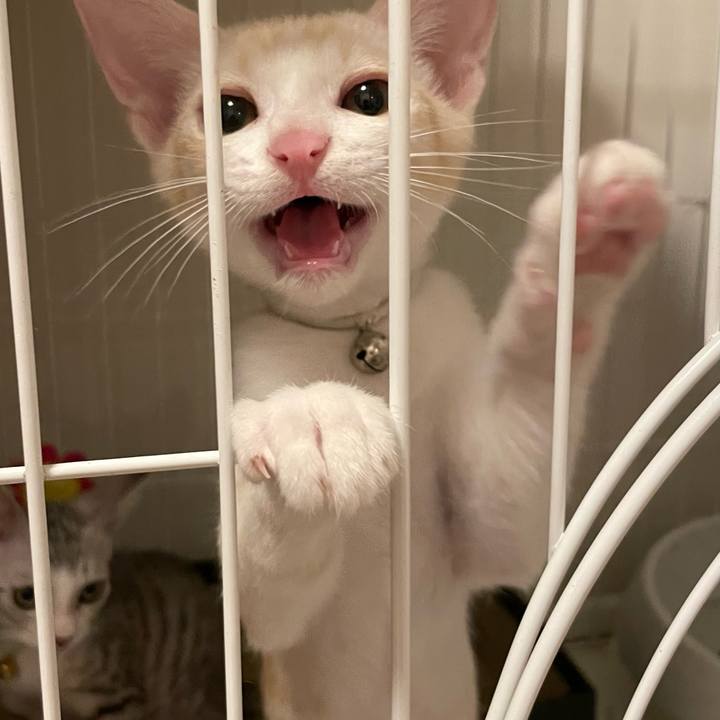 D8a58df6 0f04 49ac 880a c42967152efa 1721602487475