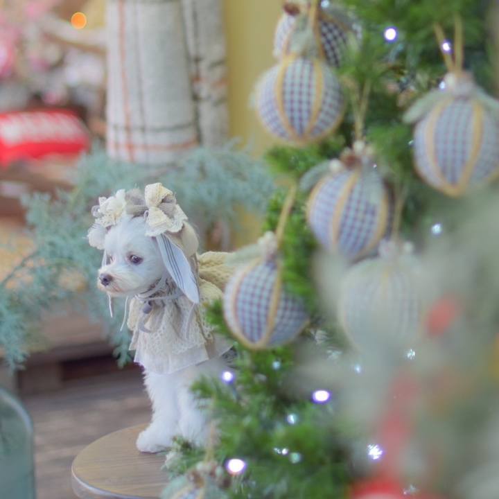 D8a59c3d 0dd6 4b21 8b4d 70da81651f28 1702376760857