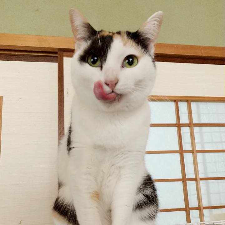 D8a5a8ee b798 479b bcb8 140ad6c9ec98 1549592940168