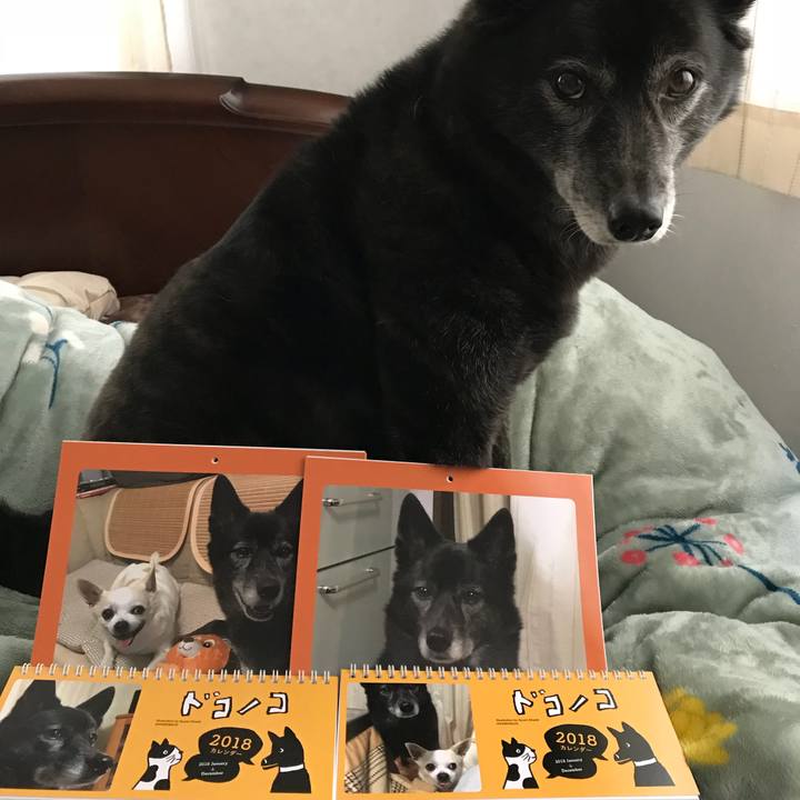 D8a5c06e f57c 4019 ad86 14ed20f1670b 1512721590511