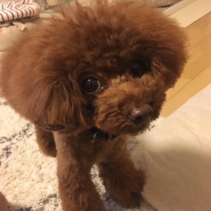 D8a5f096 f33e 47ec a1b9 0594428fc244 1508113157169