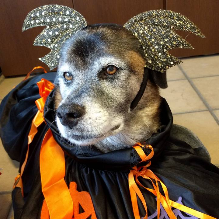 D8a60c0e 2ce1 404e 9567 413b4d0ac755 1730285502943