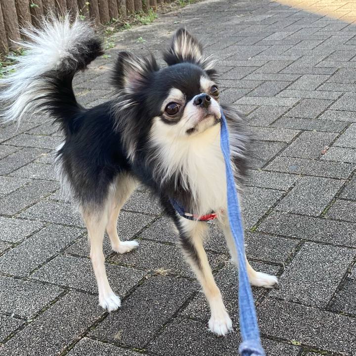 D8a66ea2 f3c8 4850 87fe 36a4a642c128 1636861111857