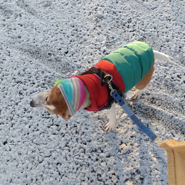 D8a68c25 be73 4e03 b126 9a502973475c 1769036536720