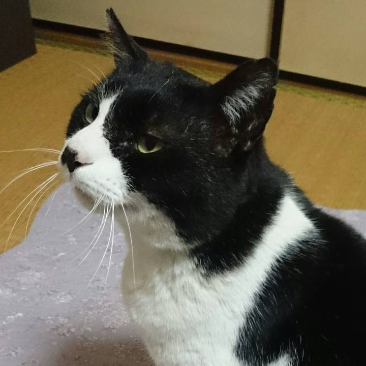 D8a6c79f 7a9e 464b b745 881b7d1a92b9 1521071745027