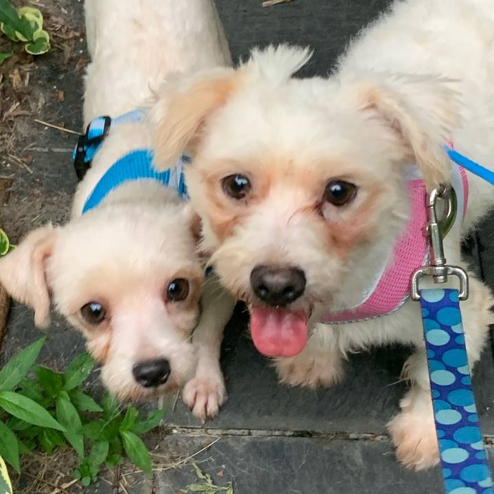 D8a746af 6c35 419a 9b42 0fb97943a287 1624783271661