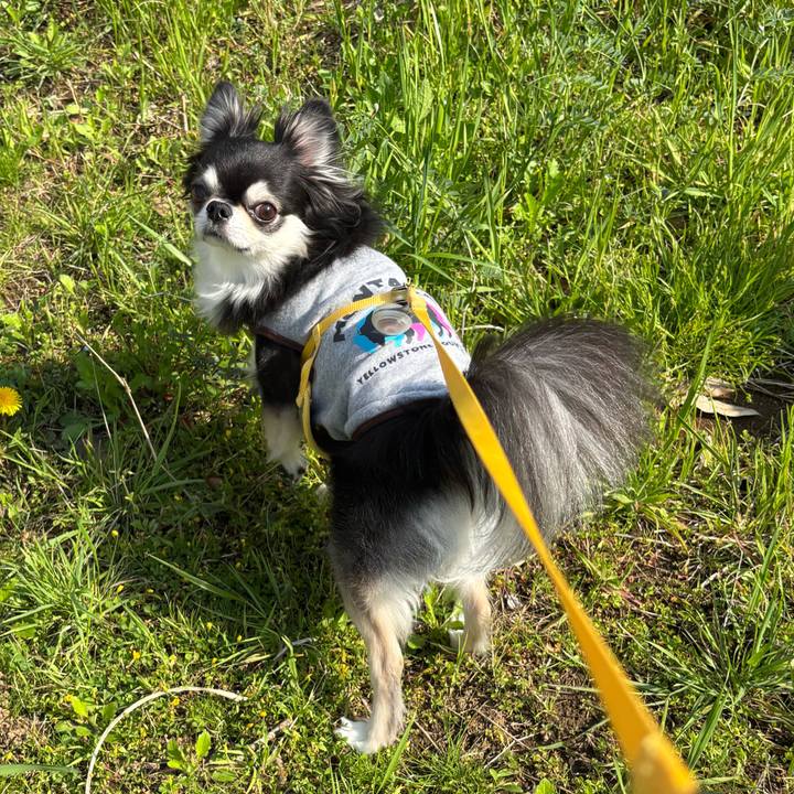 D8a77682 18fd 4235 af21 cf716d6fc8ef 1744475977533