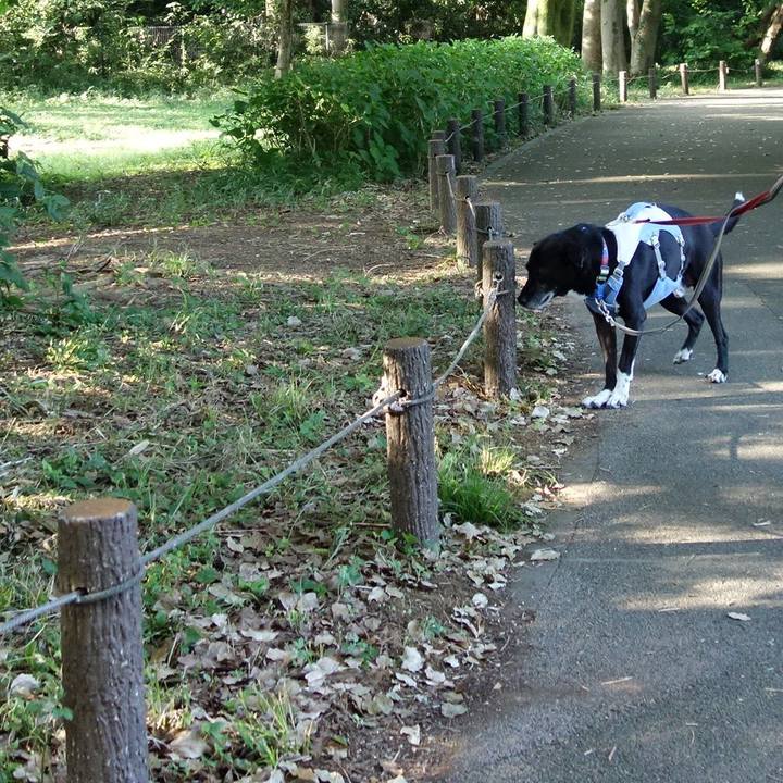 D8a784e5 bfb8 462a 8099 361c59d4f2a5 1723680343630