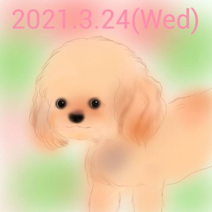 D8a7c599 643b 4f14 9dd5 0b51d3be15a7 1616586532586
