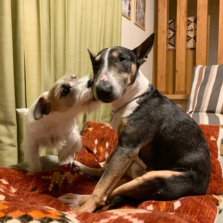 D8a813b9 343e 4230 92f7 e125e01cce0b 1579336724181