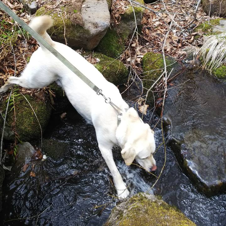 D8a8164c a9b5 495a a58a e183aedd1b0a 1556936396216