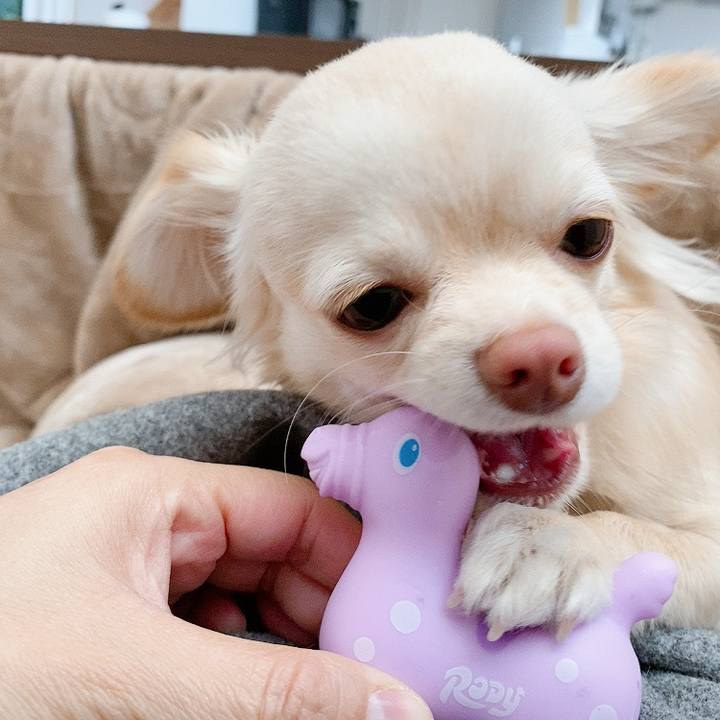 D8a824c8 3ba6 4680 bb70 377e23cfadab 1611053402641