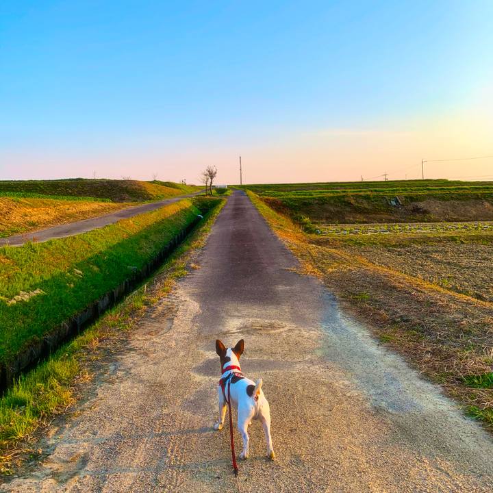 D8a86524 4631 4aff 830e d0f47caa1e97 1586461537252