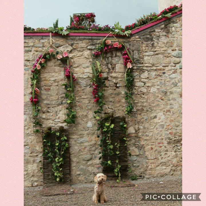 D8a89048 02de 4232 b6b6 7db910d82375 1557778937804