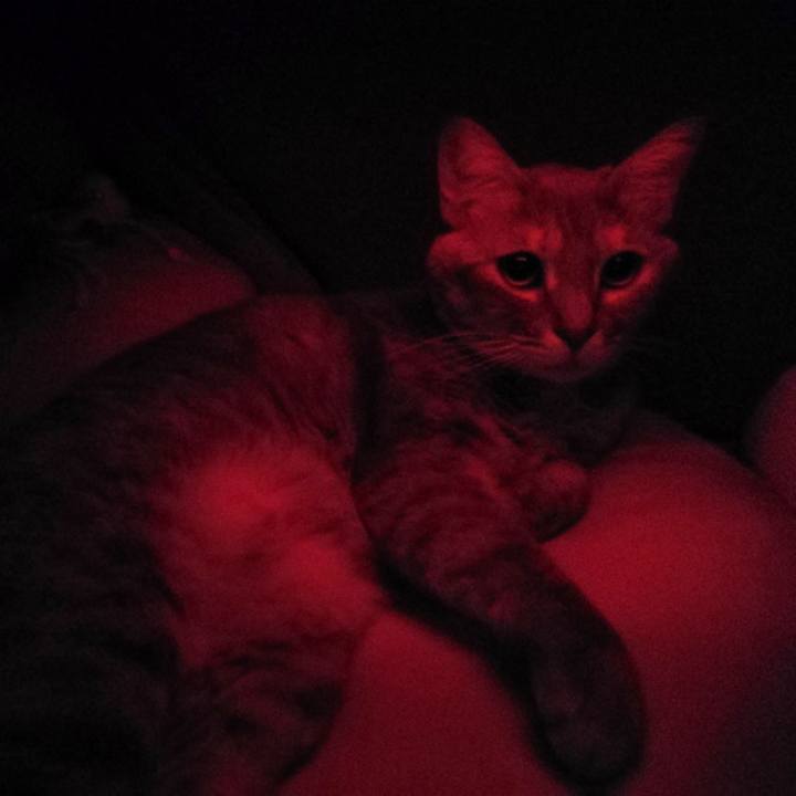 D8a8a1cc 488f 42f6 a028 04a03862f4cb 1517095124108