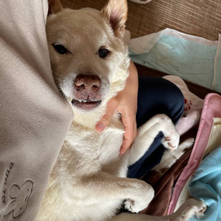 D8a94edc 3e14 4984 8c65 64cd08586bf2 1677719823032