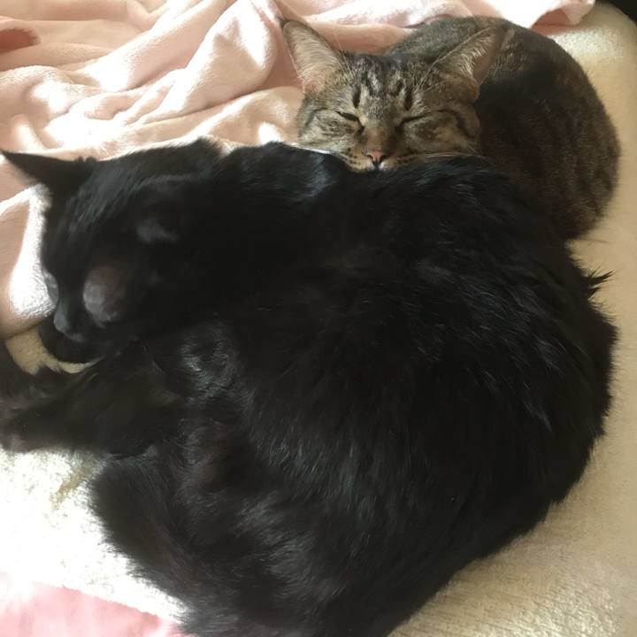 D8a96142 3780 484b 824b d62b81b60e09 1537332794471