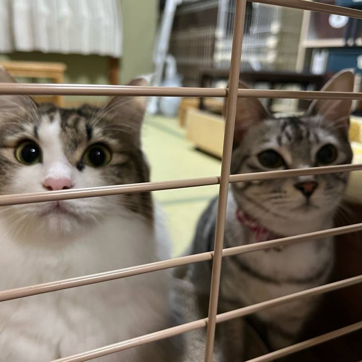 D8a9681b 3f4d 4da3 b239 b22ab1278379 1729932729378