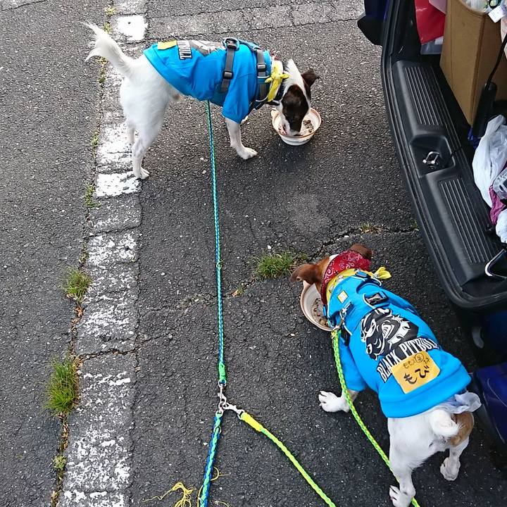 D8a969c0 8f4e 4c94 b3b8 e4f154357532 1555797062712