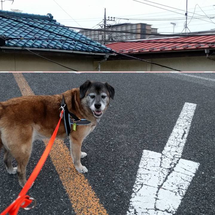 D8a97ba8 6212 48f0 b14e 7f8685ad7fa7 1527244674310